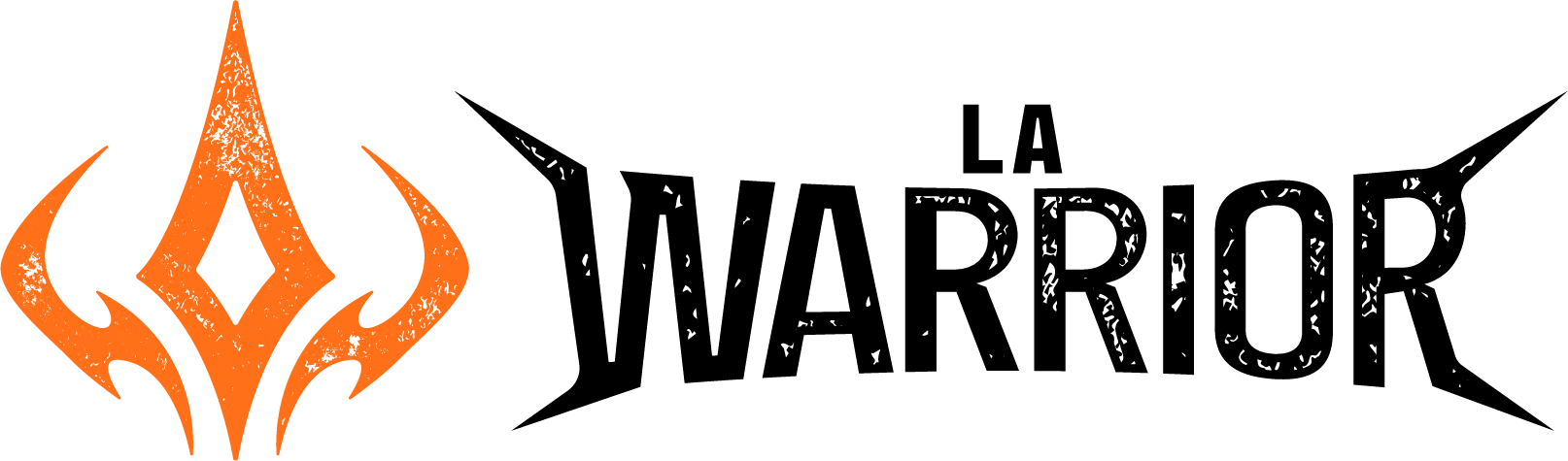 Orange abstract flame logo on a black background.